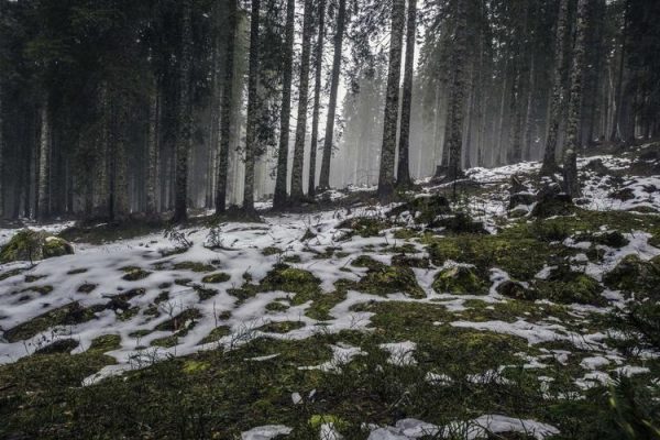 HGTV\’s Alison Victoria Shares Relationship Update After Massive Ring Sparked Engagement Rumors – People.com