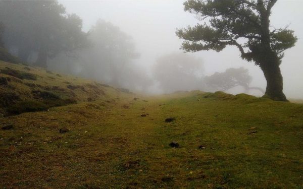 People Who’ve Been In ‘Poly Under Duress’ Relationships Share What It’s Really Like – HuffPost