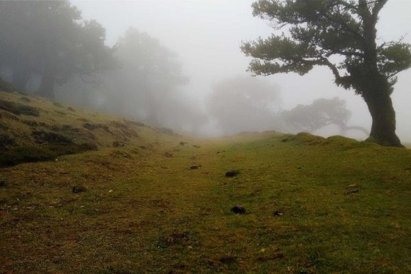 People Who’ve Been In ‘Poly Under Duress’ Relationships Share What It’s Really Like – HuffPost