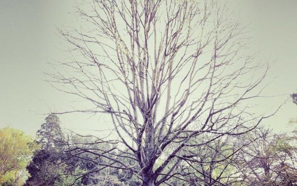 Therapist Busts 6 Instagram Myths That Are Ruining Modern Relationships – NDTV