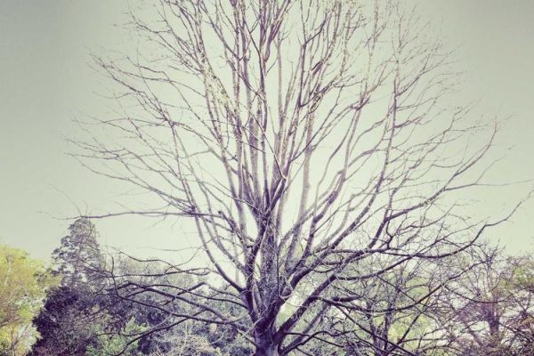 Therapist Busts 6 Instagram Myths That Are Ruining Modern Relationships – NDTV