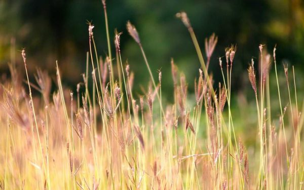 Holistic Advising: Strengthening Student Success Through Relationships, Systems, and Strategy, April 21 – Marquette Today
