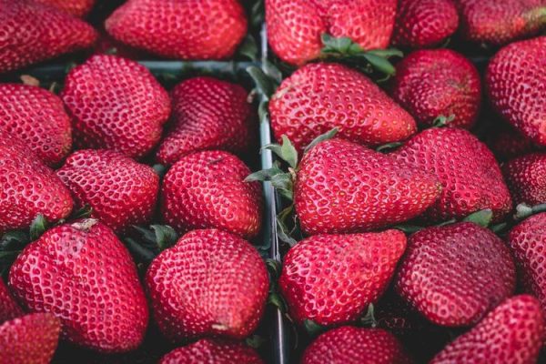 Tear Into All the Beefs of BEEF Season 2 – Netflix