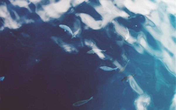 New study sheds light on the mechanisms behind declining relationship satisfaction among new parents – PsyPost