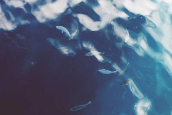 New study sheds light on the mechanisms behind declining relationship satisfaction among new parents – PsyPost