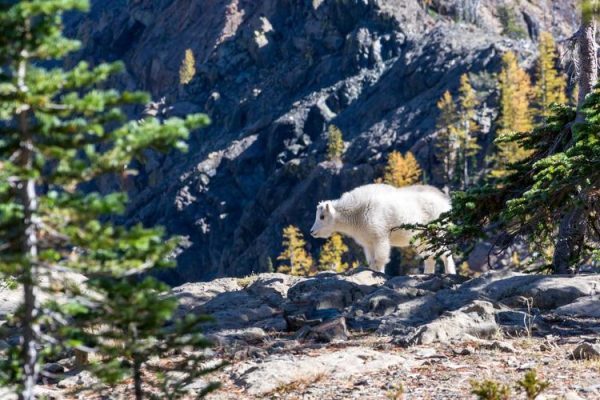 Study: Jew-hatred reshaping mental health, relationships of young Jewish-American women – JNS.org