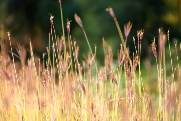Holistic Advising: Strengthening Student Success Through Relationships, Systems, and Strategy, April 21 – Marquette Today