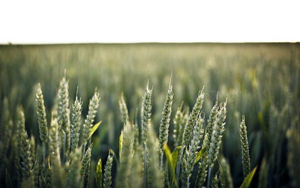 Toxic relationships (especially in the family or at work) accelerate aging – EL PAÍS English