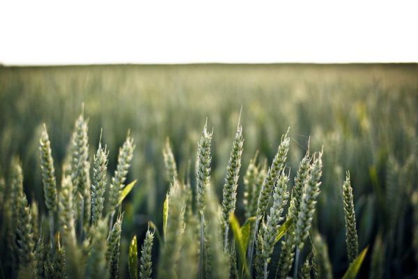 Toxic relationships (especially in the family or at work) accelerate aging – EL PAÍS English