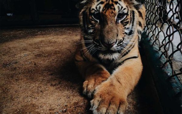 I\’m 66 and I\’ve watched myself become distant from people I genuinely care about — not because I stopped loving them, but because somewhere in my sixties I realized that most of my relationships were being kept alive by effort that only moved in one directio – Silicon Canals