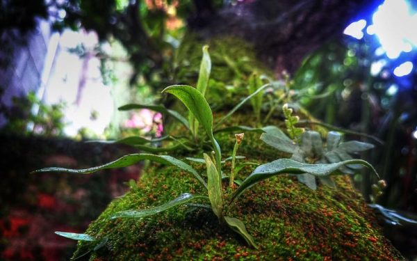 Preschool Directors to Explore the Relationships That Shape Chinuch – Anash.org