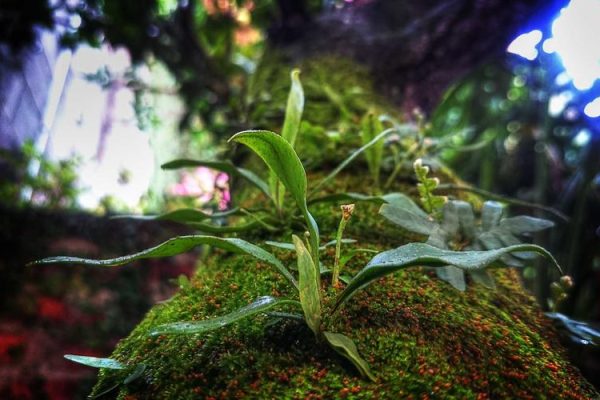 Preschool Directors to Explore the Relationships That Shape Chinuch – Anash.org