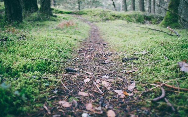 Latest TPI Study Finds Philanthropy Central to Advisor-Client Relationships, with Room to Improve Engagement – PR Newswire