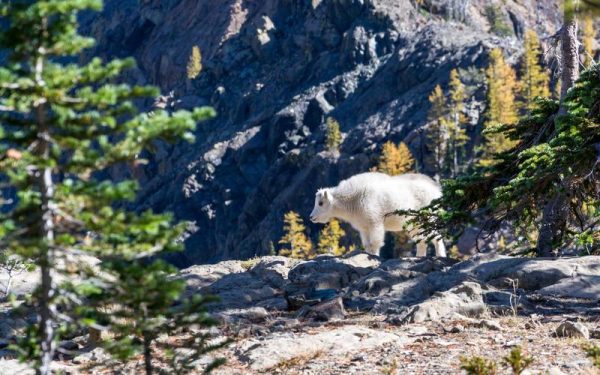 Study: Jew-hatred reshaping mental health, relationships of young Jewish-American women – JNS.org