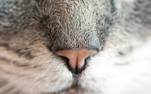 Collaboration strengthens supplier-retailer relationships – FreshPlaza