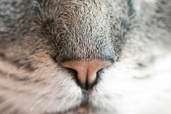 Collaboration strengthens supplier-retailer relationships – FreshPlaza