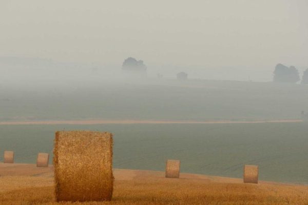 The quest to measure our relationship with nature – MIT Technology Review