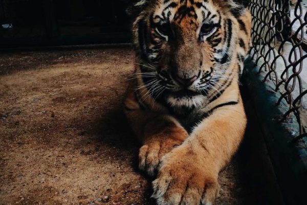 I\’m 66 and I\’ve watched myself become distant from people I genuinely care about — not because I stopped loving them, but because somewhere in my sixties I realized that most of my relationships were being kept alive by effort that only moved in one directio – Silicon Canals