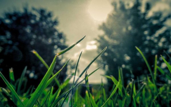 If He Leaves You on a Mountain, End Your Relationship – The New York Times