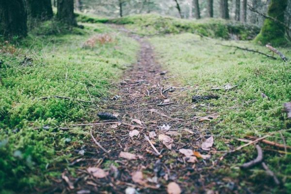 Latest TPI Study Finds Philanthropy Central to Advisor-Client Relationships, with Room to Improve Engagement – PR Newswire