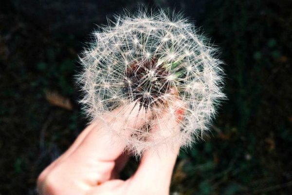 Who Is Fighting in Beef Season 2? Guide to All the Relationships, Rivalries at Country Club, Trochos – IMDb