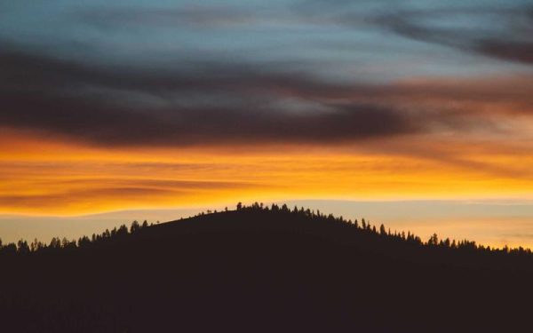 Exporting Ohio-grown soybeans around the world through relationships – Ohio Ag Net – Ohio\’s Country Journal