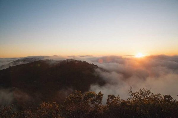 Examining the Cracks and the Cement in the Sino-Russian Relationship – War on the Rocks