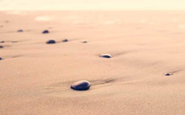 Sofia Franklyn’s Archival Wedding Dress Was Previously Worn At The Met Gala [Exclusive] – Elite Daily