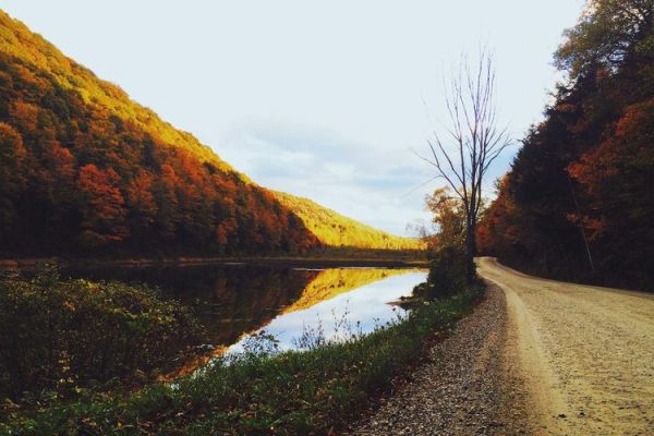 New psychology study links relationship insecurity to the pursuit of wealth and status – PsyPost