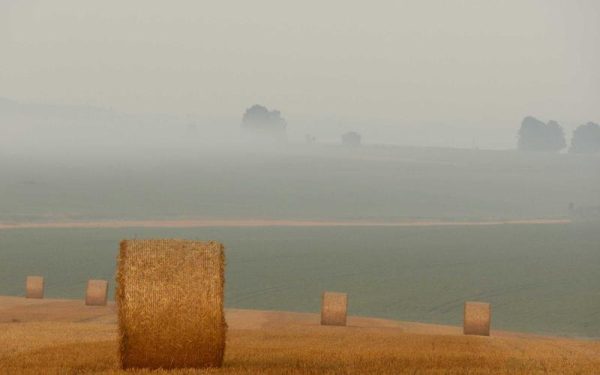 The quest to measure our relationship with nature – MIT Technology Review