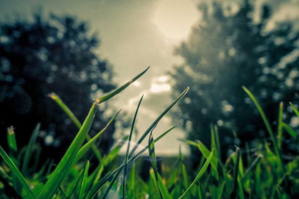 If He Leaves You on a Mountain, End Your Relationship – The New York Times