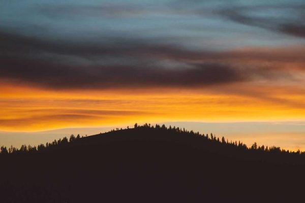 Exporting Ohio-grown soybeans around the world through relationships – Ohio Ag Net – Ohio\’s Country Journal