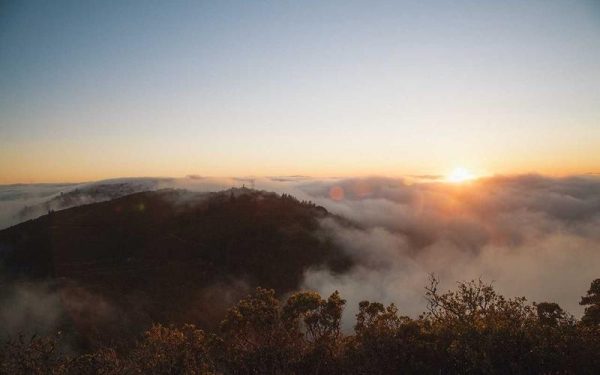 Examining the Cracks and the Cement in the Sino-Russian Relationship – War on the Rocks