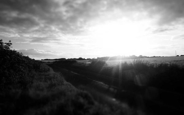 Exclusive | Dak Prescott and ex Sarah Jane Ramos\’ relationship takes surprising turn ahead of custody hearing – Page Six