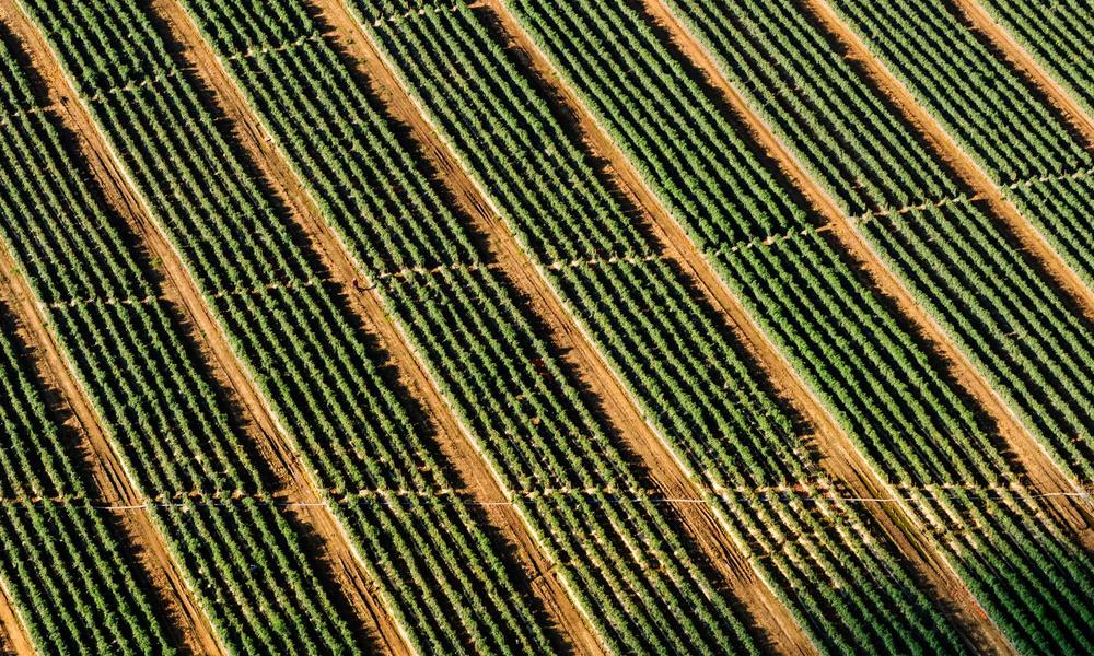 Spotify Just Partnered With One of Amazon’s Best Bookselling Rivals