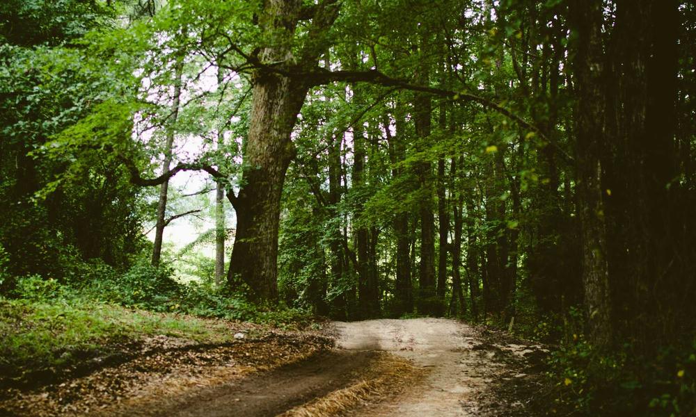 This IKEA Storage Unit Works in Basically Every Room