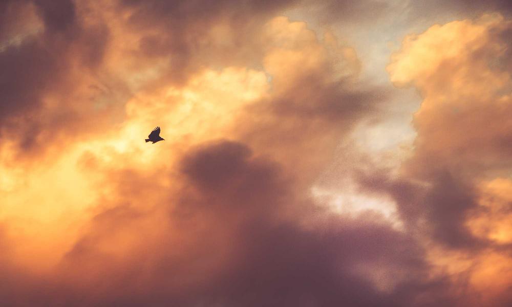 I Tried Nellie’s Dish Butter for the First Time, and It Surprised Me