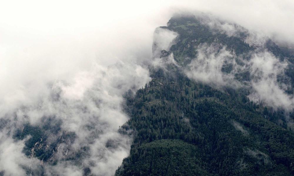 Welcome to www.dotacelife.com – Post 3